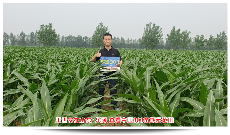 1689747805249321.png 圖片19.png